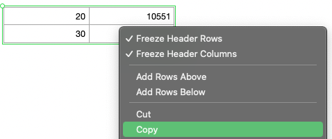 Copying Allocation Instructions